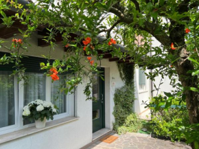 Le Gardenie di Tito Mogliano Veneto